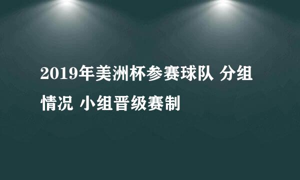 2019年美洲杯参赛球队 分组情况 小组晋级赛制