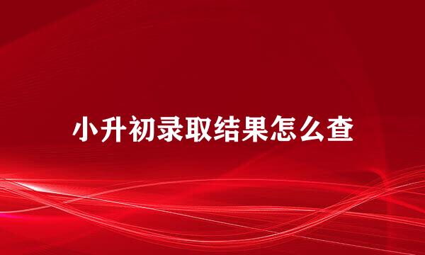 小升初录取结果怎么查