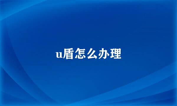 u盾怎么办理
