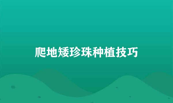 爬地矮珍珠种植技巧