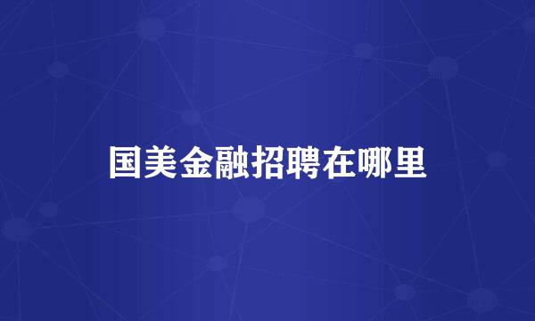 国美金融招聘在哪里