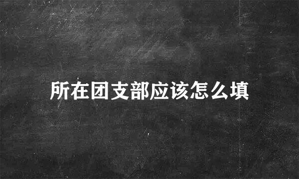 所在团支部应该怎么填