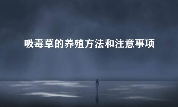 吸毒草的养殖方法和注意事项