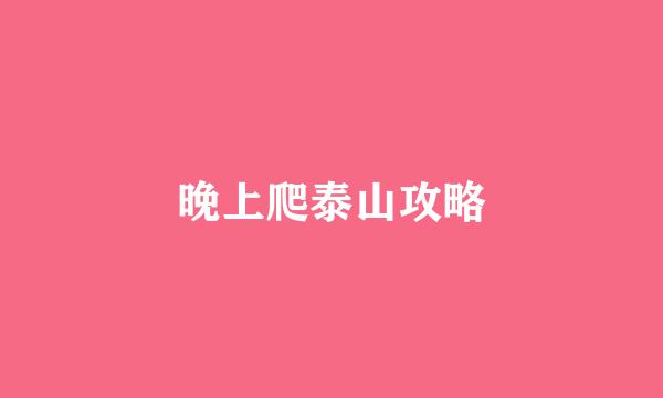晚上爬泰山攻略