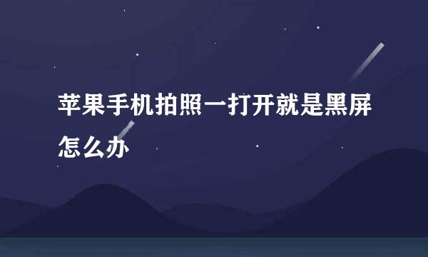 苹果手机拍照一打开就是黑屏怎么办
