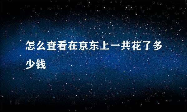 怎么查看在京东上一共花了多少钱