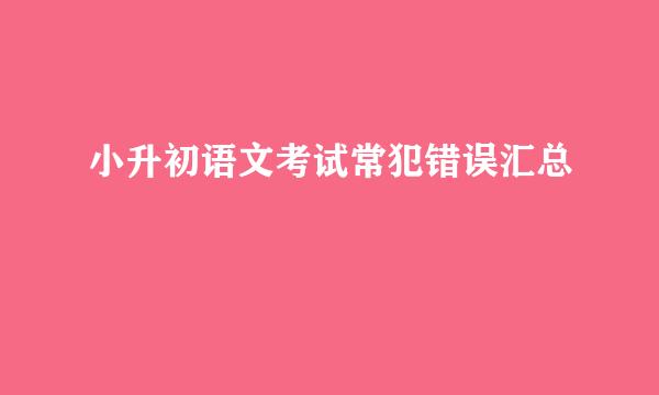 小升初语文考试常犯错误汇总
