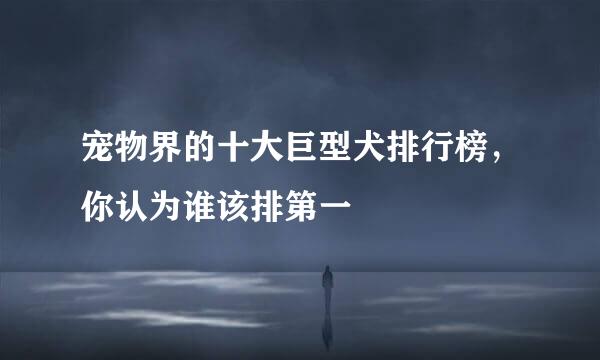 宠物界的十大巨型犬排行榜，你认为谁该排第一