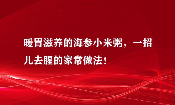 暖胃滋养的海参小米粥,一招儿去腥的家常做法!