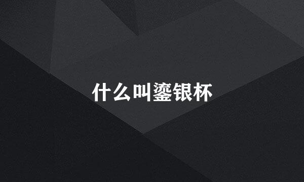 什么叫鎏银杯