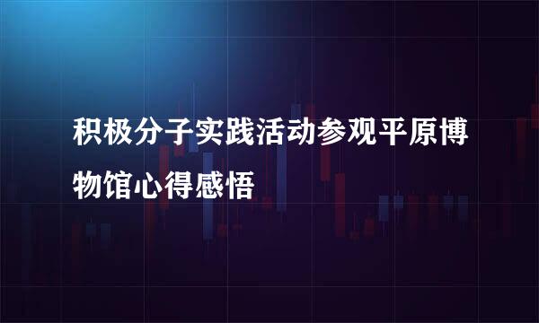 积极分子实践活动参观平原博物馆心得感悟