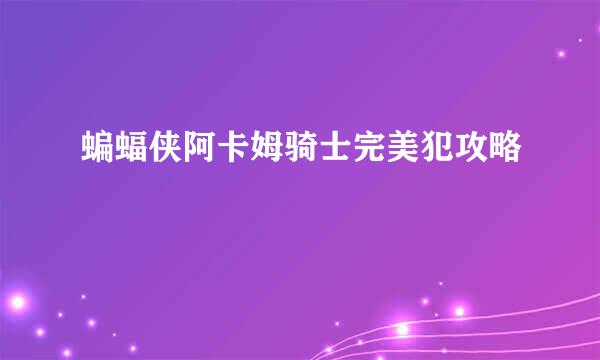 蝙蝠侠阿卡姆骑士完美犯攻略
