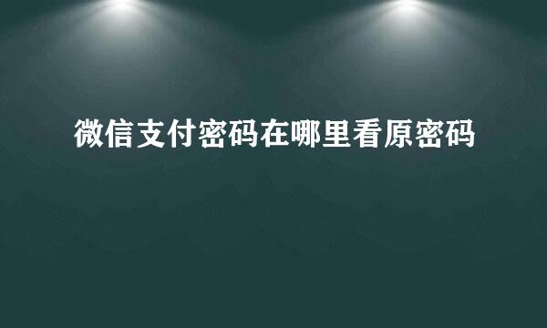 微信支付密码在哪里看原密码