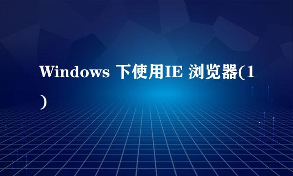 Windows 下使用IE 浏览器(1)