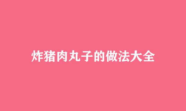 炸猪肉丸子的做法大全