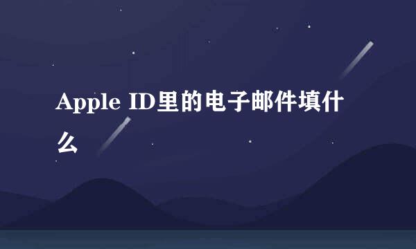 Apple ID里的电子邮件填什么