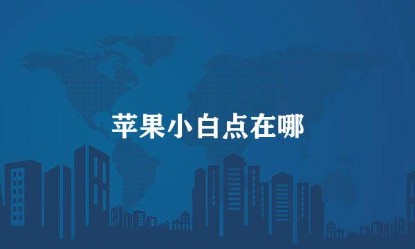 苹果小白点在哪