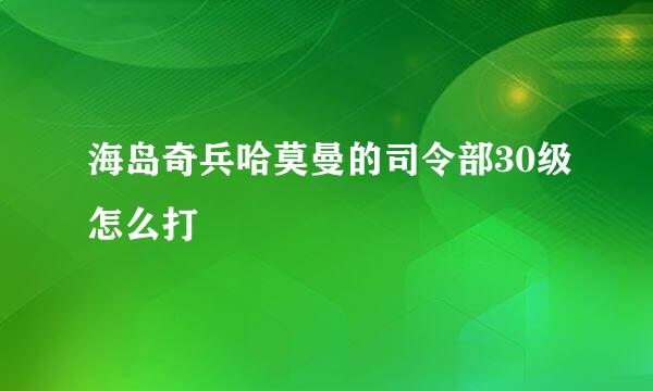 海岛奇兵哈莫曼的司令部30级怎么打