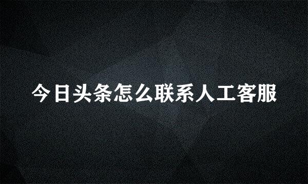 今日头条怎么联系人工客服