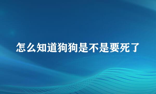 怎么知道狗狗是不是要死了