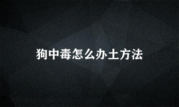 狗中毒怎么办土方法