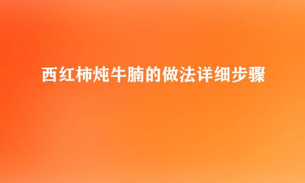 西红柿炖牛腩的做法详细步骤