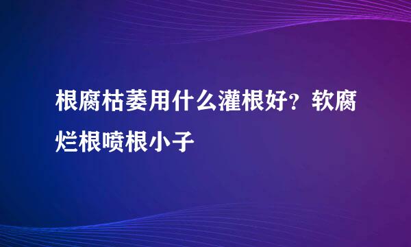 根腐枯萎用什么灌根好？软腐烂根喷根小子