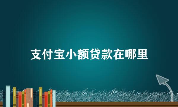 支付宝小额贷款在哪里