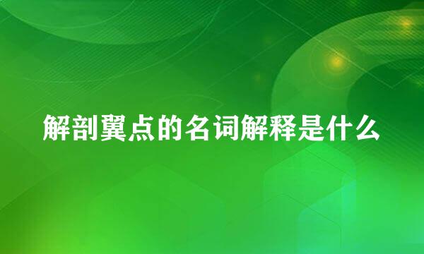 解剖翼点的名词解释是什么