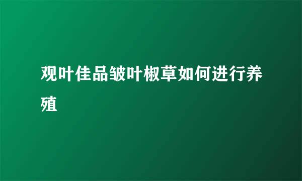 观叶佳品皱叶椒草如何进行养殖