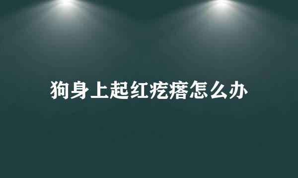 狗身上起红疙瘩怎么办