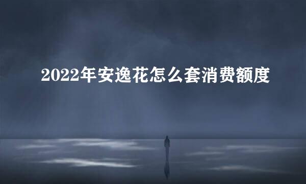 2022年安逸花怎么套消费额度
