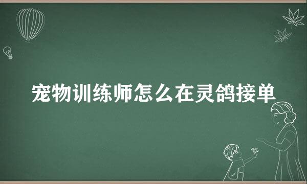 宠物训练师怎么在灵鸽接单