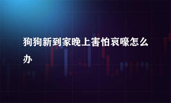 狗狗新到家晚上害怕哀嚎怎么办
