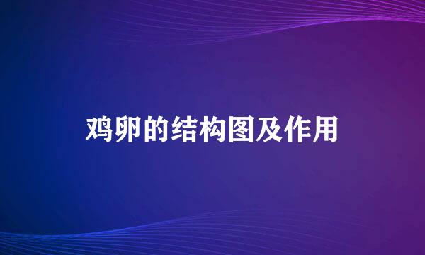 鸡卵的结构图及作用