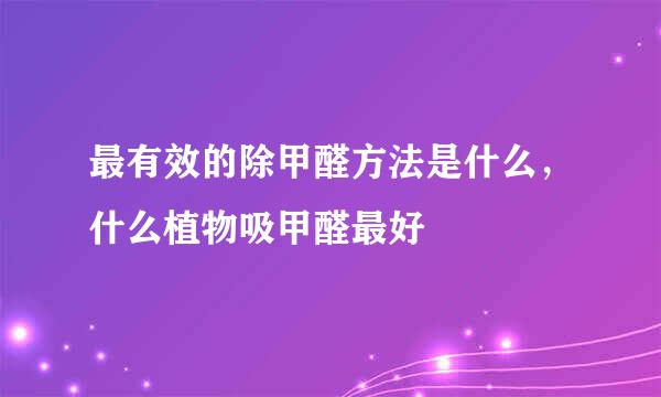 最有效的除甲醛方法是什么,什么植物吸甲醛最好
