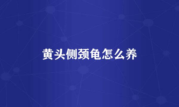 黄头侧颈龟怎么养