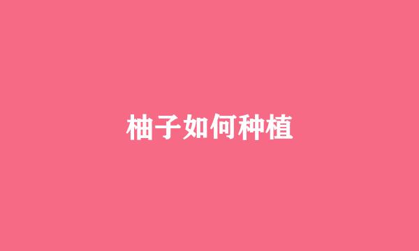 柚子如何种植