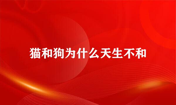猫和狗为什么天生不和