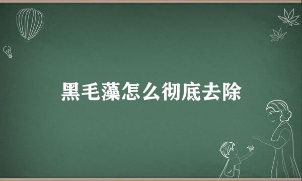 黑毛藻怎么彻底去除