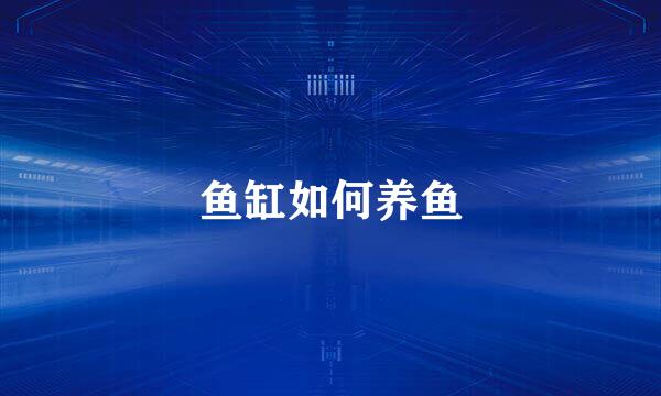 鱼缸如何养鱼