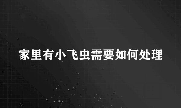 家里有小飞虫需要如何处理