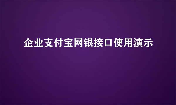 企业支付宝网银接口使用演示