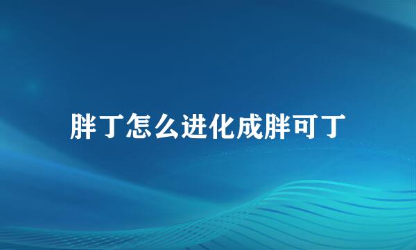 胖丁怎么进化成胖可丁
