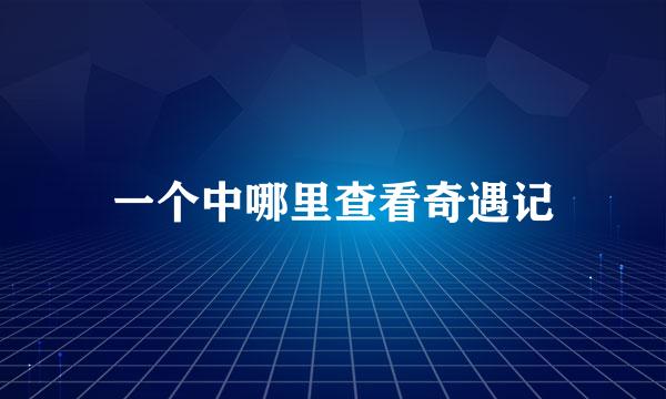 一个中哪里查看奇遇记