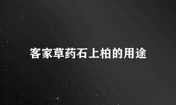 客家草药石上柏的用途