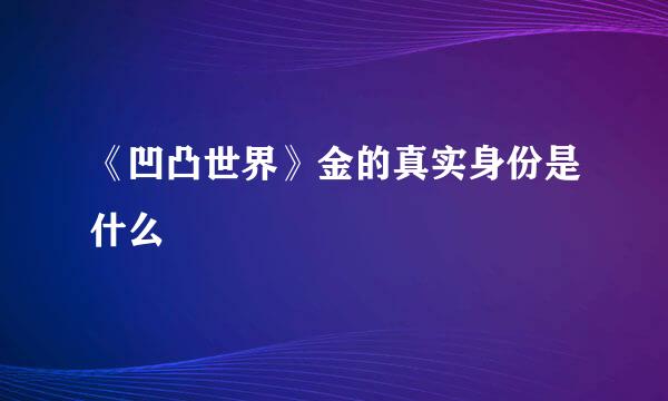 《凹凸世界》金的真实身份是什么