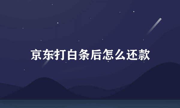京东打白条后怎么还款