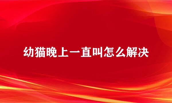 幼猫晚上一直叫怎么解决
