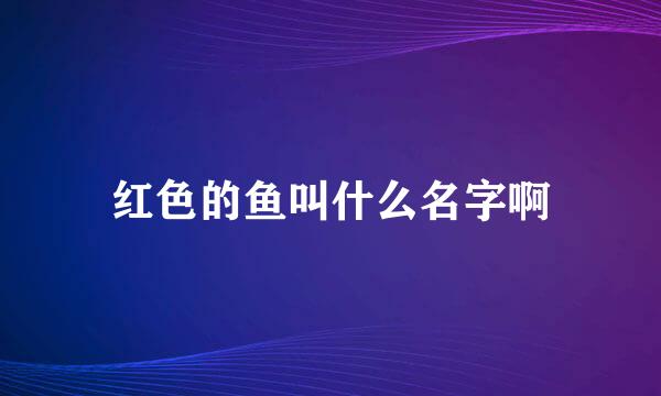 红色的鱼叫什么名字啊